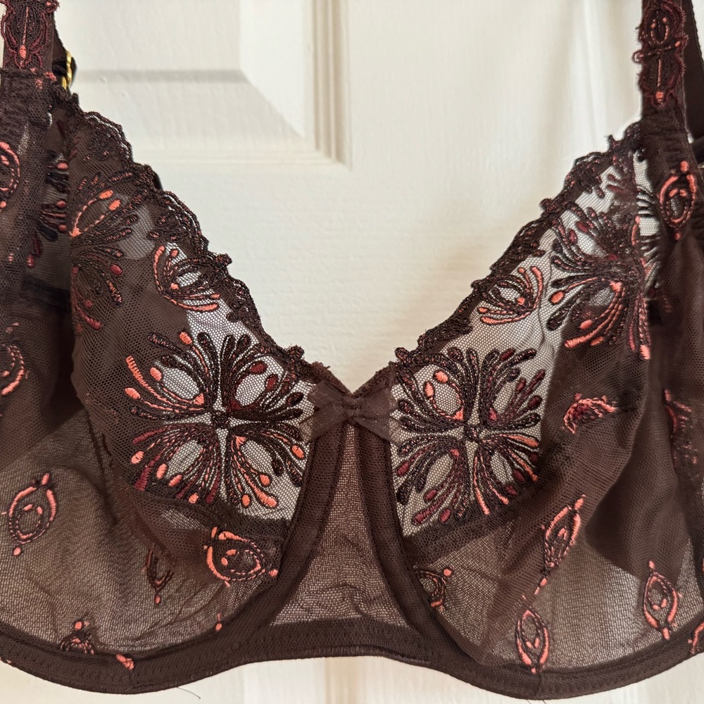 CHANTELLE Champs Elysées 36DD BRAND NEW W/TAGS Full cup bra brown w/embroidery
